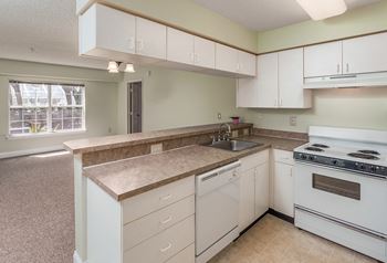 European-style kitchens